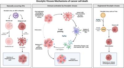 Editorial: Oncolytic virotherapy